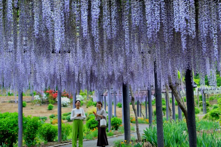 温泉とお花の絶景がみどころ、群馬県藤岡市のエリアガイド