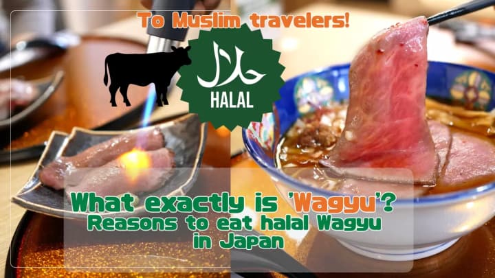 ムスリムの旅行者へ！「和牛」って一体何？日本でハラール和牛を食べるべき理由