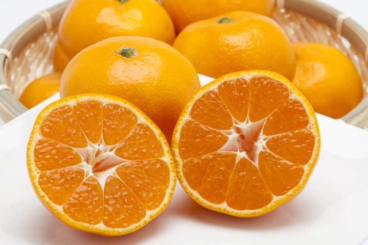 【和歌山しるべ】和歌山といえばみかん！食欲の秋第2弾！