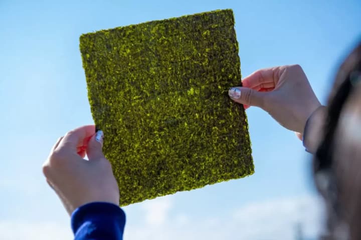 【食・歴史】三重県松阪市のディープな魅力を巡る旅